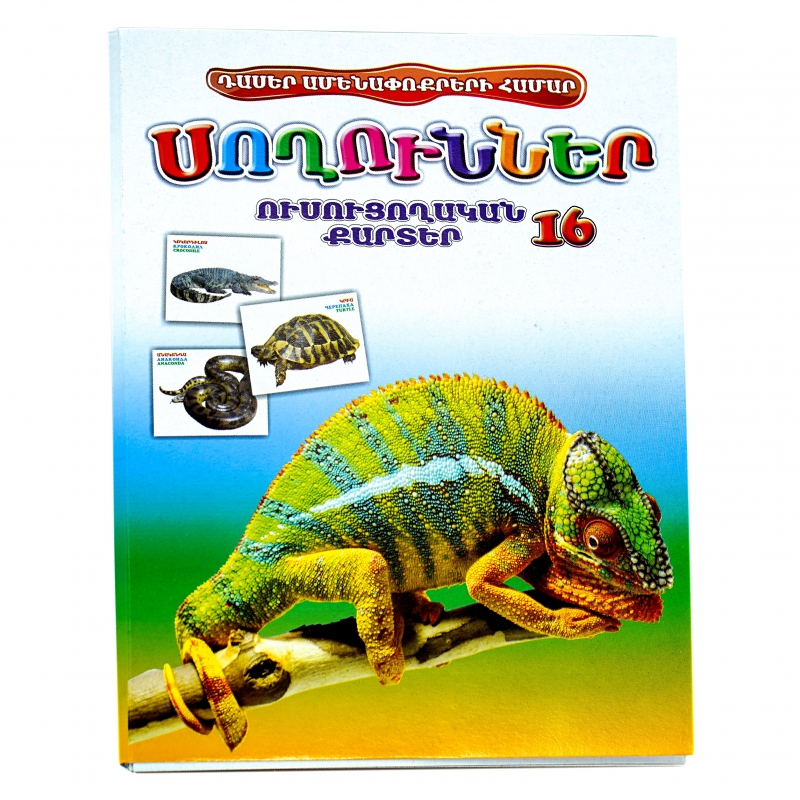 Քարտեր Ուսուցողական 16 00440 5